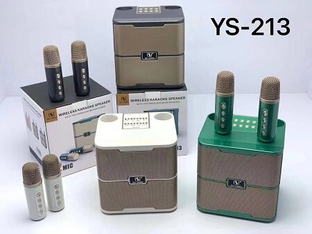 Loa Wireless Karaoke YS 213 - Chính hãng, giá rẻ, uy tín