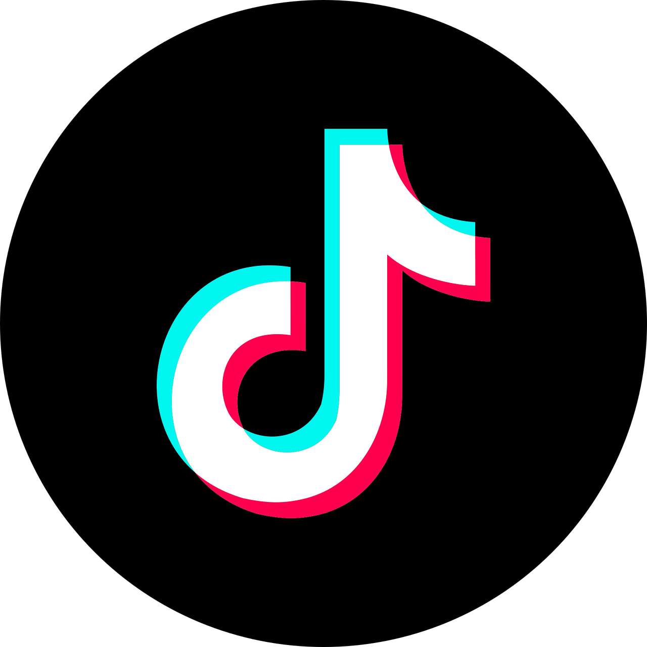 tiktok việt phone